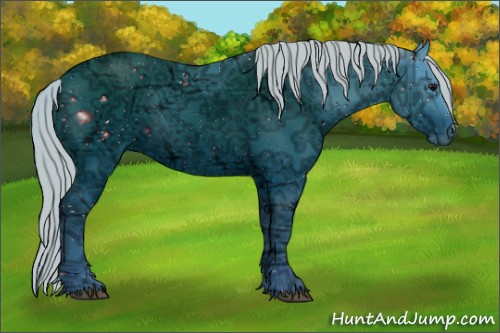 Horse Color:ERROR: UNKNOWN ANOMALY