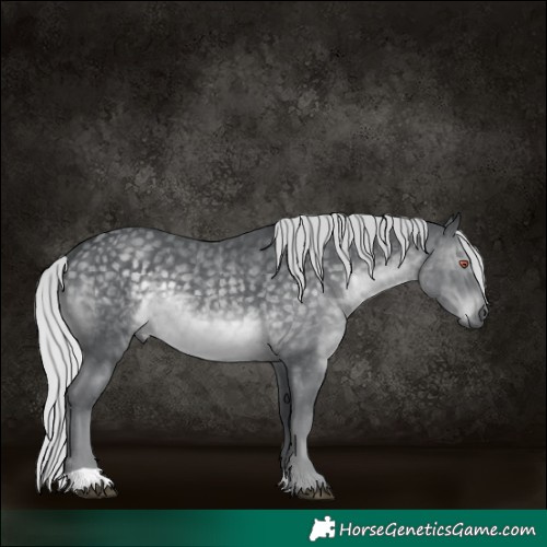 Horse Color:Silver Black Chinchilla 