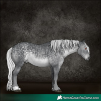 Horse Color:Silver Black Chinchilla 