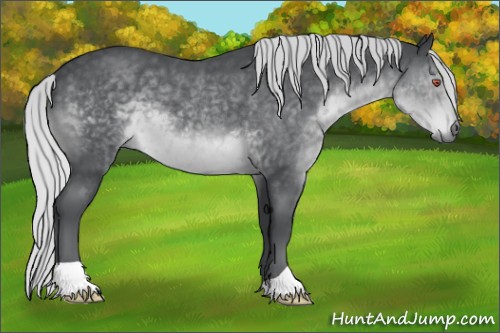 Horse Color:Silver Black Chinchilla