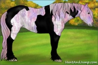 Horse Color:Nacre Watercolor Liver Chestnut Ice Tobiano Rabicano 