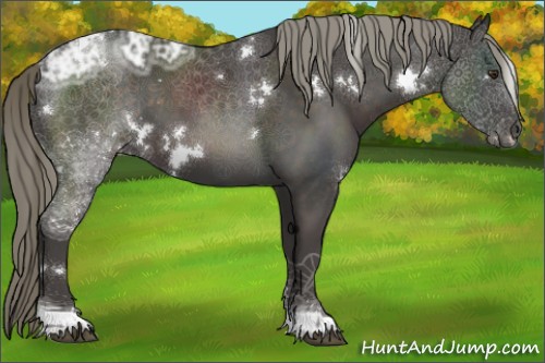 Horse Color:White Spotted Liver Chestnut Ice Mushroom Tobiano 