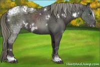 Horse Color:White Spotted Liver Chestnut Ice Mushroom Tobiano 