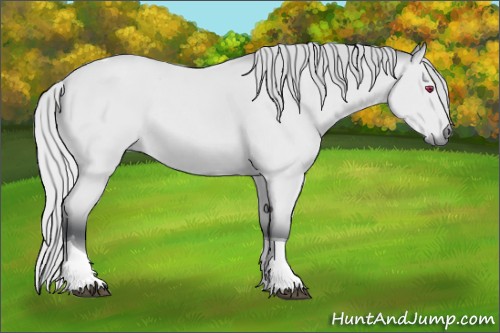 Horse Color:Silver Brown Chinchilla Tobiano Rabicano 