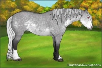 Horse Color:Silver Smoky Grullo Chinchilla Roan Sabino Rabicano 