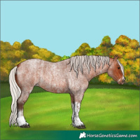 Horse Color:Silver Brown Roan Sabino Rabicano  and Silver Bay Roan Tobiano Frame Rabicano 