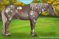 Horse Color:White Spotted Chocolate Silver Black