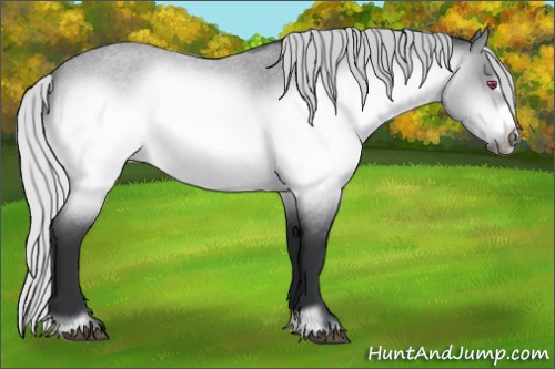 Horse Color:Silver Brown Chinchilla Roan Frame