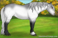 Horse Color:Silver Brown Chinchilla Roan Frame 