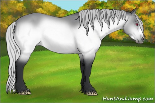 Horse Color:Silver Brown Chinchilla Roan Frame 