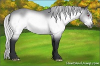Horse Color:Silver Brown Chinchilla Roan Frame 
