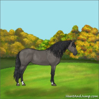 Horse Color:Grullo Sabino Rabicano 