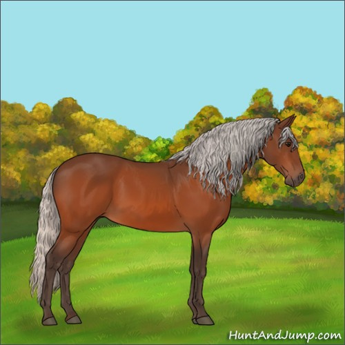 Horse Color:Silver Bay 