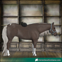 Horse Color:Silver Black Tobiano 