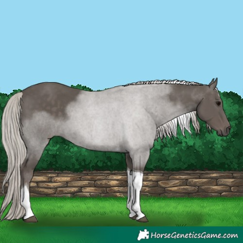 Horse Color:Silver Black Tobiano