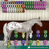 Horse Color:Silver Black Appaloosa