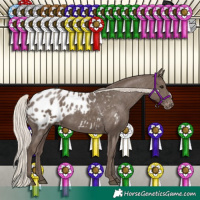 Horse Color:Silver Black Blanket 