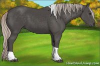 Horse Color:Silver Black Tobiano