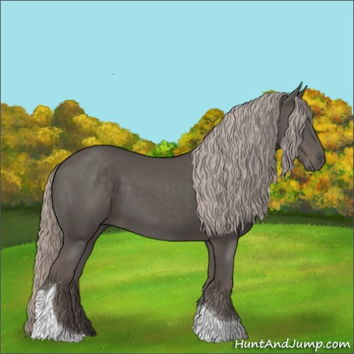 Horse Color:Silver Black Tobiano 