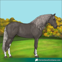 Horse Color:Silver Black Tobiano 