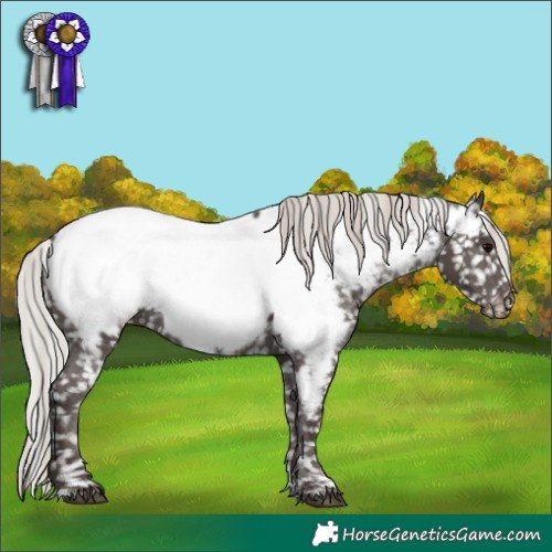 Horse Color:Silver Black Tobiano Near Fewspot