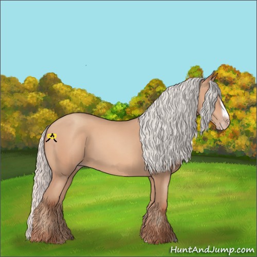 Horse Color:Silver Amber Champagne Frame 