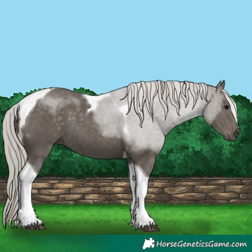 Horse Color:Silver Black Tobiano 