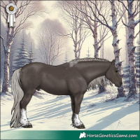 Horse Color:Silver Black Tobiano 