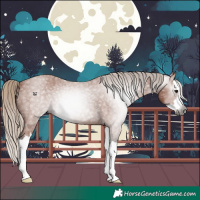 Horse Color:Gray Silver Bay Roan Splash 