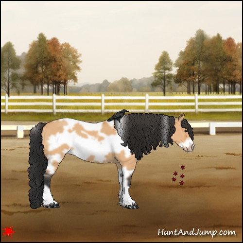 Horse Color:White Spotted Bay Dun Frame 