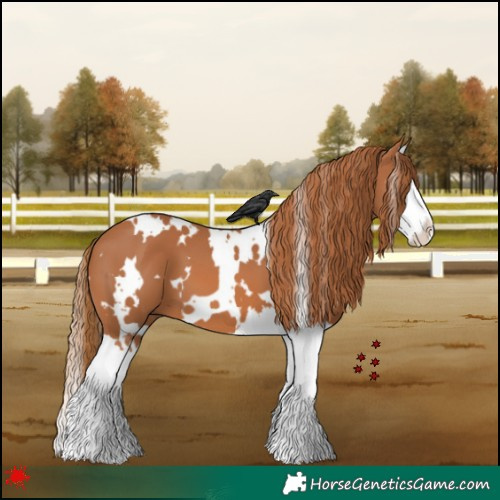 Horse Color:White Spotted Chestnut Splash 