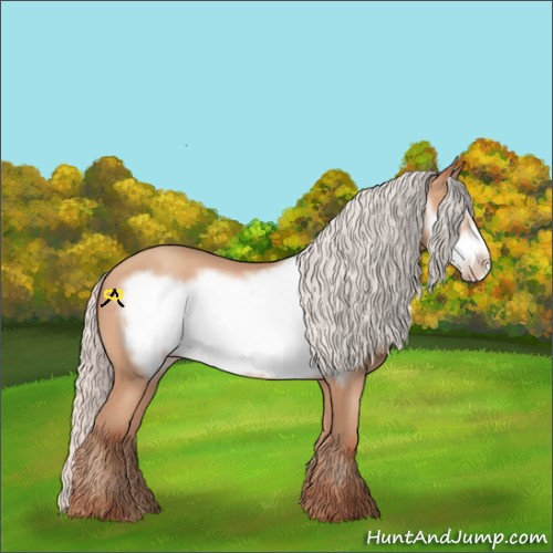 Horse Color:Silver Amber Champagne Frame 