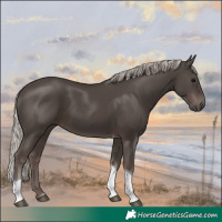 Horse Color:Silver Black Tobiano 