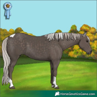 Horse Color:Silver Black Tobiano 