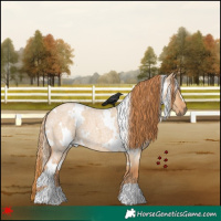 Horse Color:White Spotted Red Dun Roan 