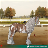 Horse Color:White Spotted Silver Black 