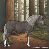 Horse Color:Silver Black Tobiano