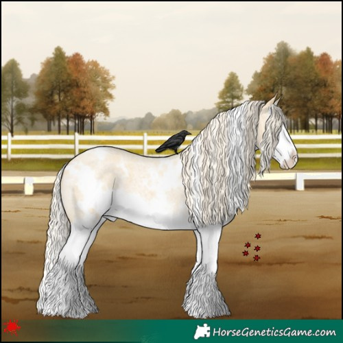 Horse Color:White Spotted Palomino Roan Dun Splash 
