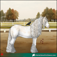Horse Color:White Spotted Palomino Roan Dun Splash 