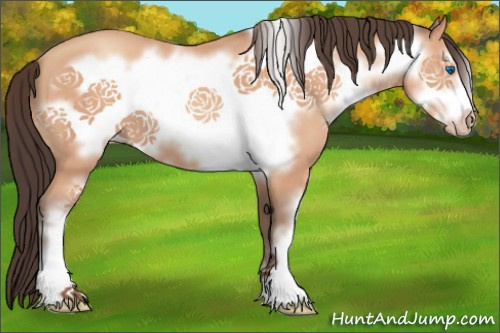 Horse Color:Amber Champagne Sabino Frame 