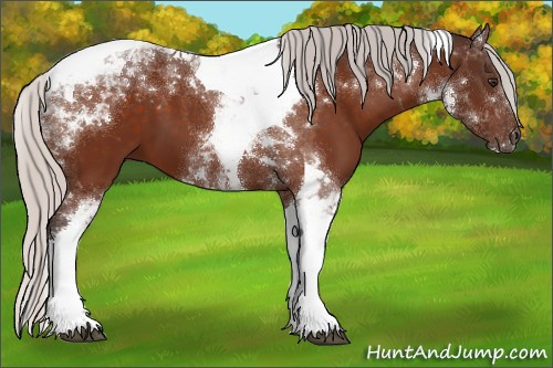 Horse Color:Silver Brown Tobiano