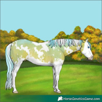Horse Color:Watercolor White Spotted Buckskin Sabino Splash Rabicano 