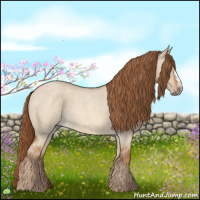 Horse Color:Red Dun Roan