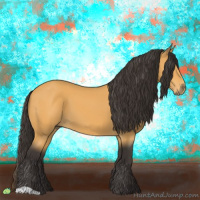 Horse Color:Buckskin 