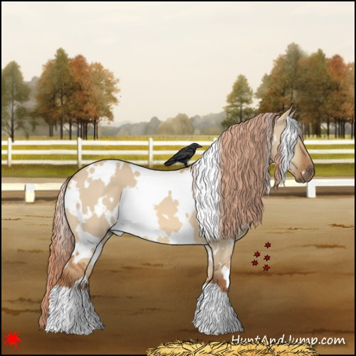 Horse Color:White Spotted Red Dun 