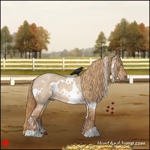 Horse Color:White Spotted Red Dun Roan