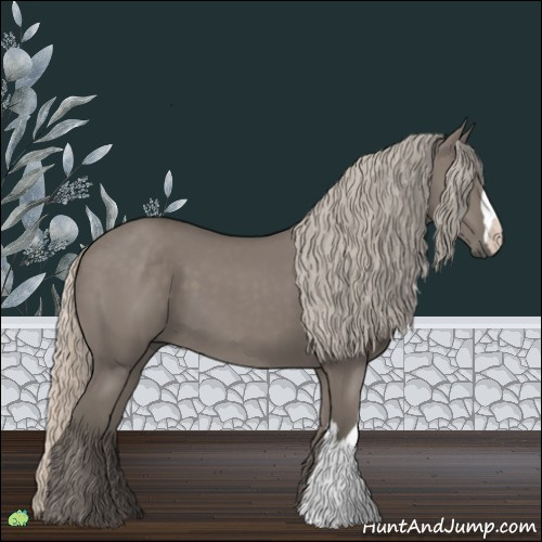 Horse Color:Silver Grullo