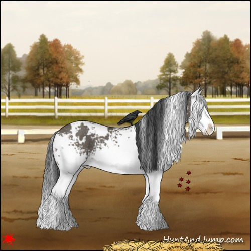 Horse Color:White Spotted Grullo Splash 