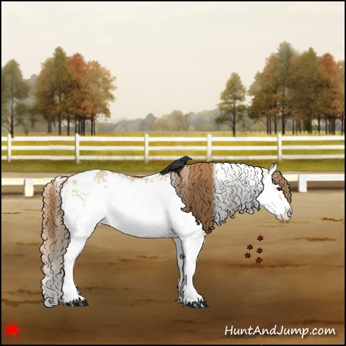 Horse Color:White Spotted Red Dun Splash 