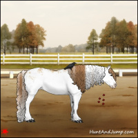 Horse Color:White Spotted Red Dun Splash